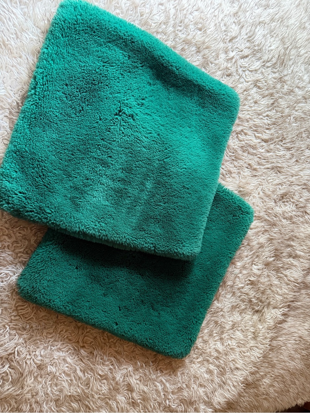 Apparis emerald Green Faux Fur Pillow Covers - Set of 2